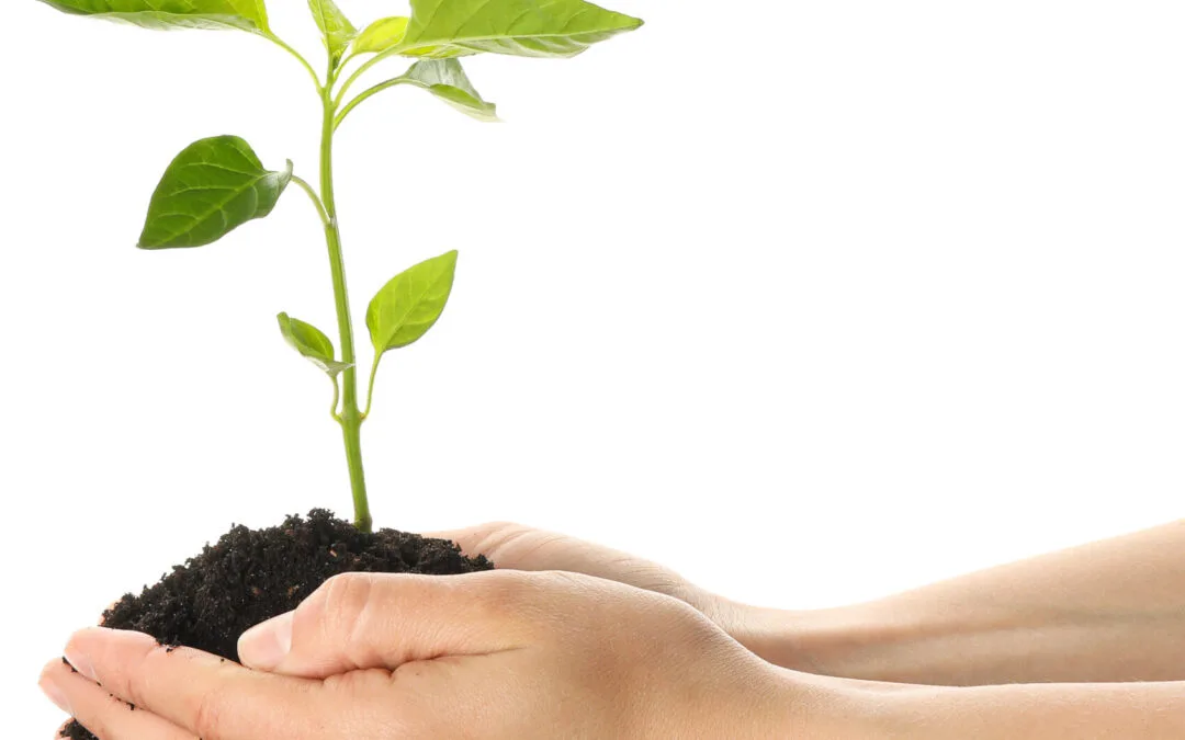The Environmental Benefits of Online Voting for HOAs