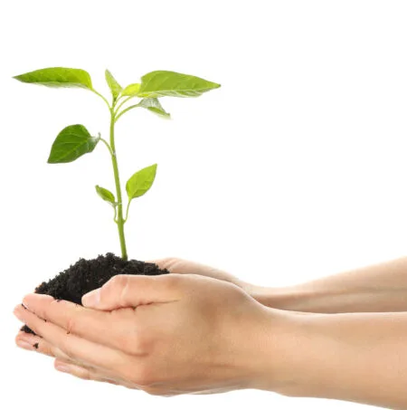 https://voting-pro.com/2024/06/06/the-environmental-benefits-of-electronic-voting-for-hoas